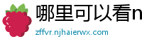 哪里可以看nba免费直播